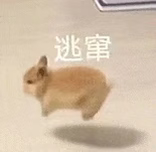OPLUSDRAG com.xingin.xhs NoteXYImageView 2026 01 23 00 26 54.png