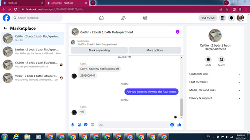 caitlin 3.png