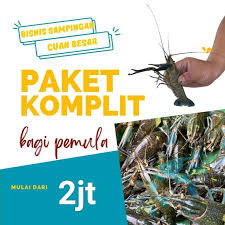 1000001040.jpg