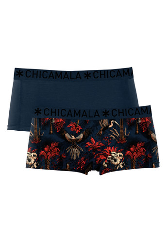 PALMBIRDS1215 01.jpg