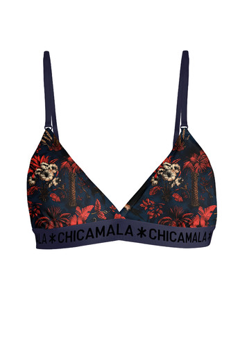 PALMBIRDS1217 01.jpg