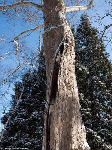 IMG 4187.jpg