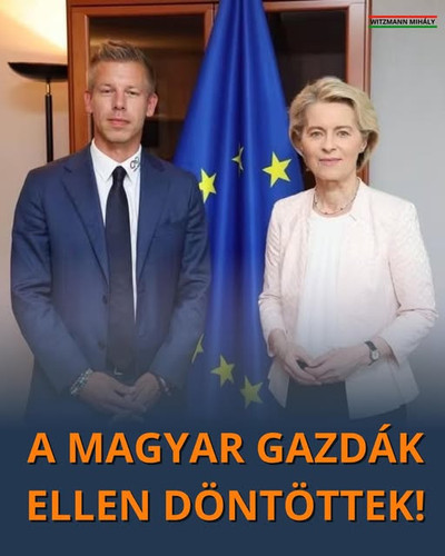 616765878 1478406990320183 4257032156200951997 n.jpg?stp=dst jpg s640x640 tt6& nc cat=109&ccb=1 7& n.1