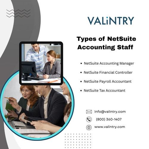 Types of NetSuite Accounting Staff.jpg