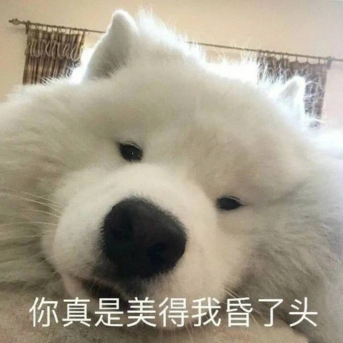 a785e8a54fe193949a64b7e5f9393e12b5b41adb860bd3ce6801bbe88fae5415.0.jpg
