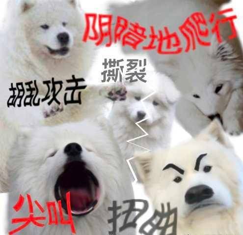 2a67737fdfe90777293e3cbaf1adb82f1570a14f2bcb5dd66e5ef755756c5796.0.jpg
