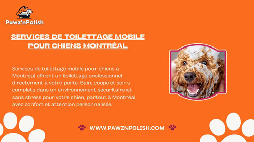 Services De Toilettage Mobile Pour Chiens Montréal.jpg