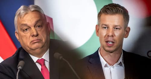 617544606 1701793494560201 2441892265013920900 n.jpg?stp=c0.5x0.5f dst jpg flffffff p500x261 q75 tt6.jpg