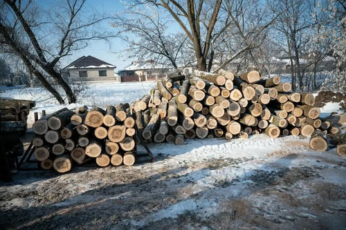 616655809 1508465313981373 7640142856285750004 n.jpg?stp=dst jpg s590x590 tt6& nc cat=111&ccb=1 7& n.jpg