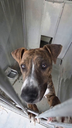 Q 8qT59ctJV4H1iT.jpg