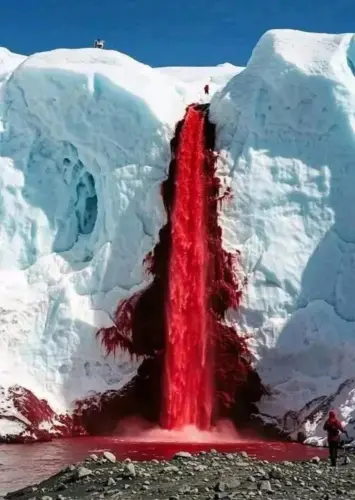 blood falls in antarctica a glacier that looks like its v0 5qijx3tz4amf1.webp
