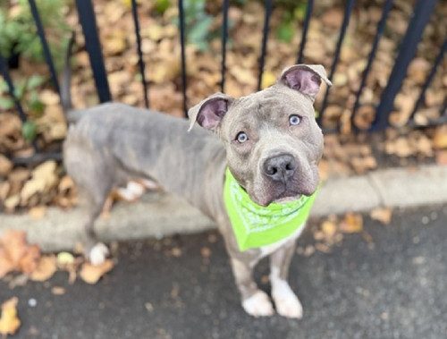 G BH2WWgAE4cC3?format=jpg.jpg