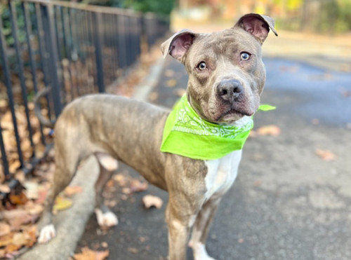 G DUeSXWYAAO ot?format=jpg.jpg