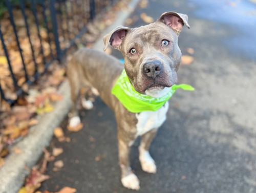 G DUiBKWAAAHhs3?format=jpg.jpg