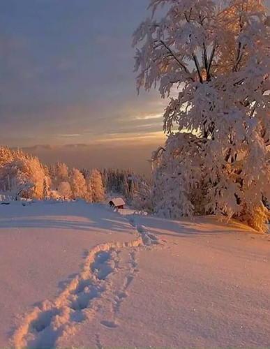 G WoCeBWkAAxJno?format=jpg.jpg