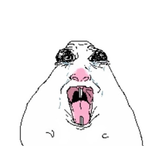 my friend keeps sending these hamsters as reaction images v0 p95a726z385f1.jpg