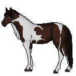 IMG 3045.png
