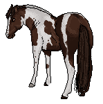 IMG 3044.png