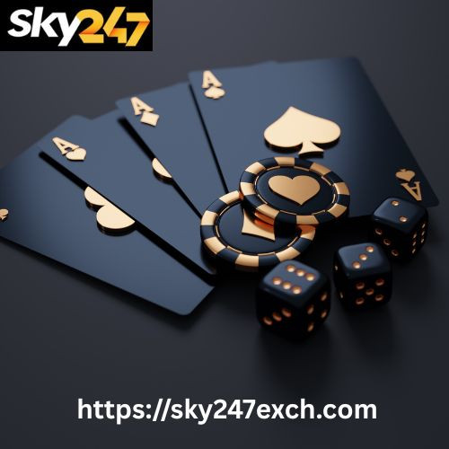 Sky exchange id.jpg