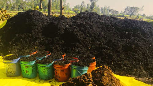 Untitled design (87).jpg