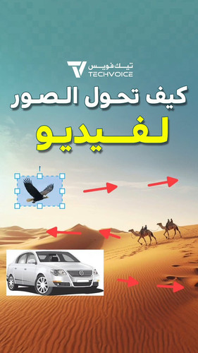 kpFwfuwaHEb6jy d.jpg