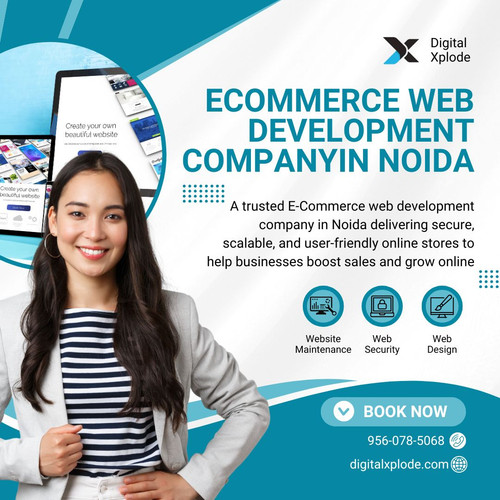 Professional eCommerce Web Developers in Noida for Growth.jpg