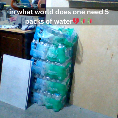 Vortex Logopfp (512 x 512 px) (8).png