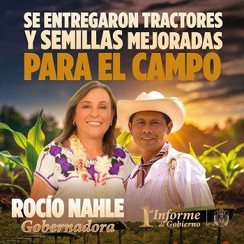 banner side campo.jpg