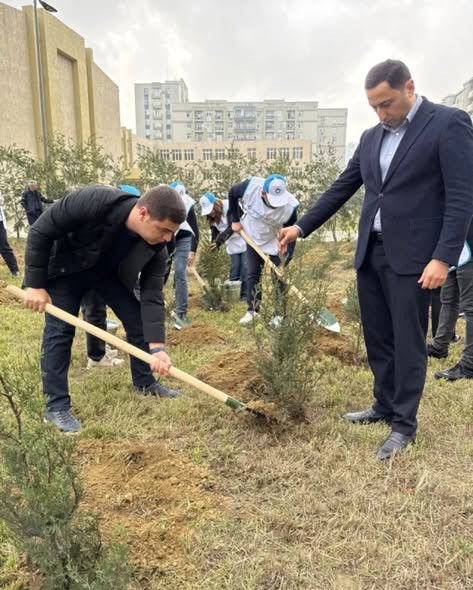 582618817 18425403373117154 1802522157160454971 n.jpg?stp=dst jpg s590x590 tt6& nc cat=106&ccb=1 7& .jpg