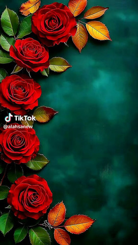 udc2Nv8Lyjy1 7ao.jpg