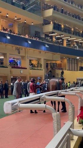 Tr2tqx3p6465K 8a.jpg