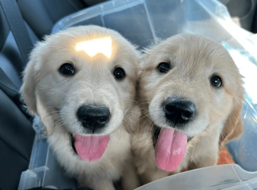 스크린샷 2025 12 11 164509.png