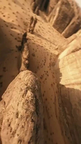 vLW0wwvp9Q9Ago x.jpg