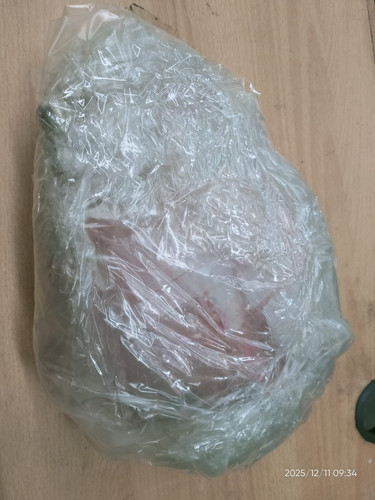 WhatsApp Image 2025 12 11 at 14.25.07 b1c94331.jpg