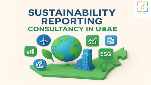Sustainability Reporting Consultancy.jpg