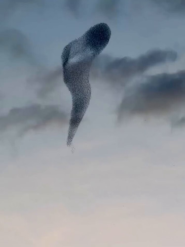 6 lRN04c2X5wyu3H.jpg