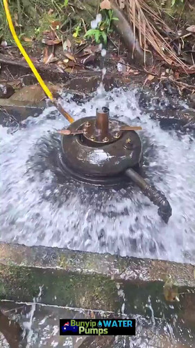 WFsFvV0lkr B1lMC.jpg