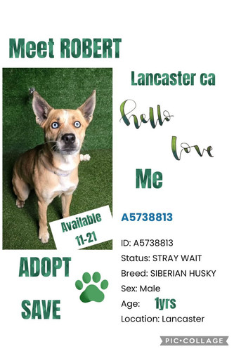 G6XCTxaW0AAn9N ?format=jpg.jpg