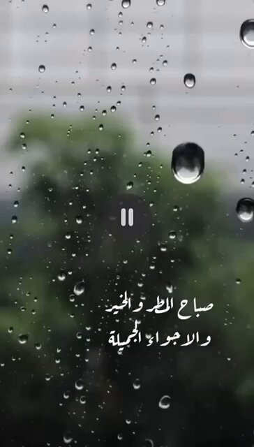 91c3m68hcuuHdV e.jpg