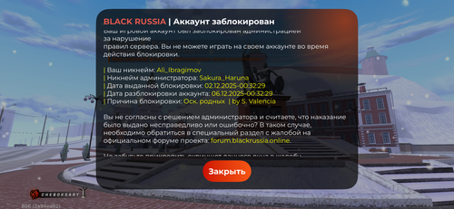 IMG 2666.png