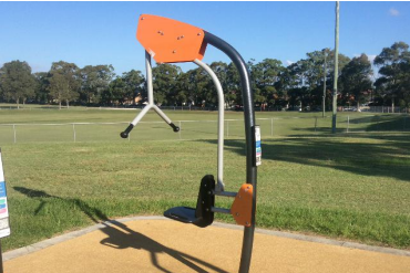 Lateral Pull Down.png