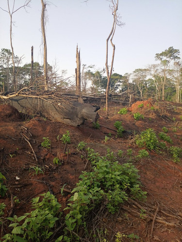 G73RWhoXMAAyMVU.jpg