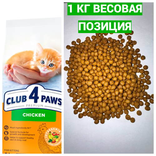 Blank 2 Grids Collage.png