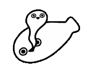 672f2dbea8679.gif