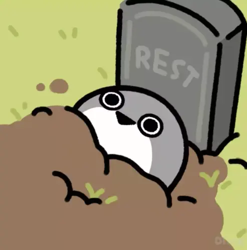 672f2df76f8b3.webp