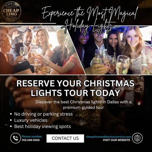 Dallas Christmas Lights Tour.jpg