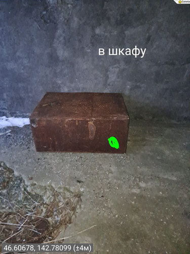 image.jpg