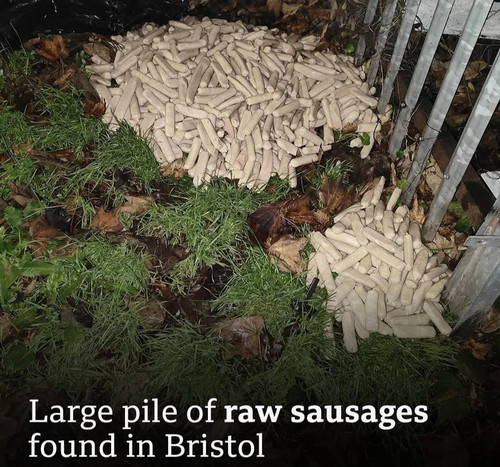 596298855 1735168820997128 8094246678864846498 n.jpg