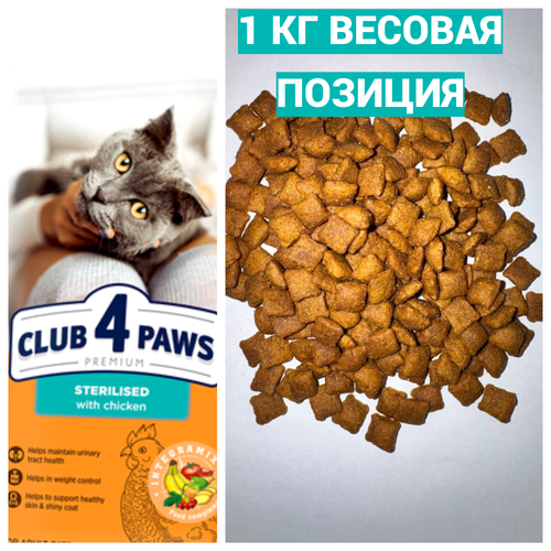 Blank 2 Grids Collage (1).png