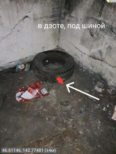 image.jpg